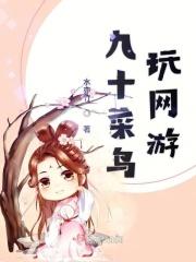 九十菜鸟玩网游 九十菜鸟玩网游