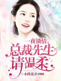 一夜锁情,总裁先生请温柔 一夜锁情,总裁先生请温柔