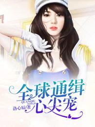 全球通缉心尖宠 全球通缉心尖宠