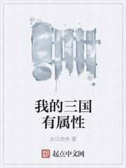 我的三国有属性 我的三国有属性