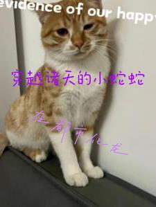 穿越诸天的小蛇蛇在都市化龙 穿越诸天的小蛇蛇在都市化龙