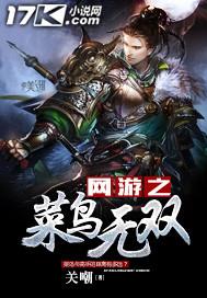 网游之菜鸟无双 网游之菜鸟无双