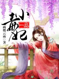 一品小毒妃 一品小毒妃