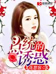 总统的诱惑 总统的诱惑