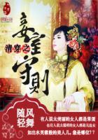 清穿之妾室守则 清穿之妾室守则