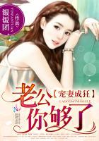 宠妻成狂:老公你够了 宠妻成狂:老公你够了