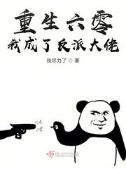 重生六零我成了反派大佬 重生六零我成了反派大佬